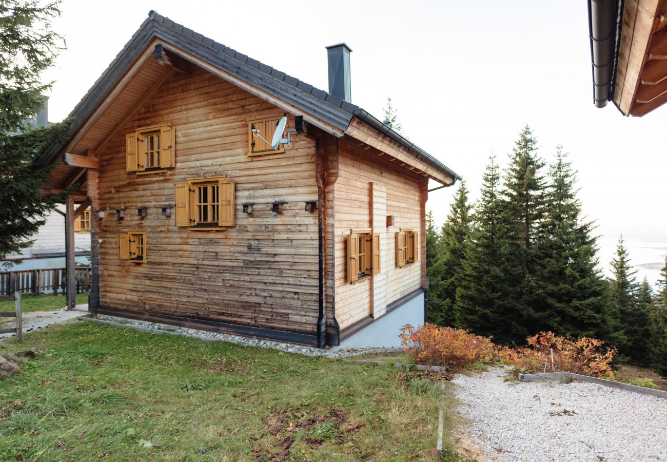 Chalet in St. Stefan - FDK Classic 005