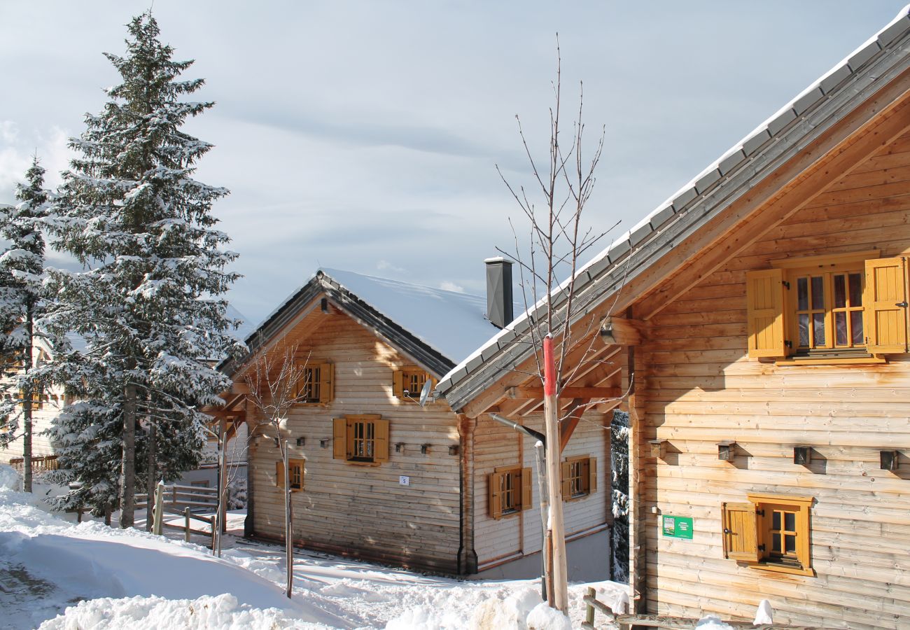 Chalet in St. Stefan - FDK Classic 005