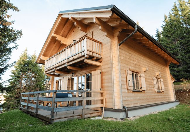 Villa in St. Stefan - Chalet mit Sauna XL 27