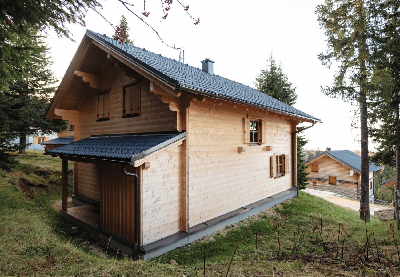 Chalet in St. Stefan - Chalet mit Sauna XL 28