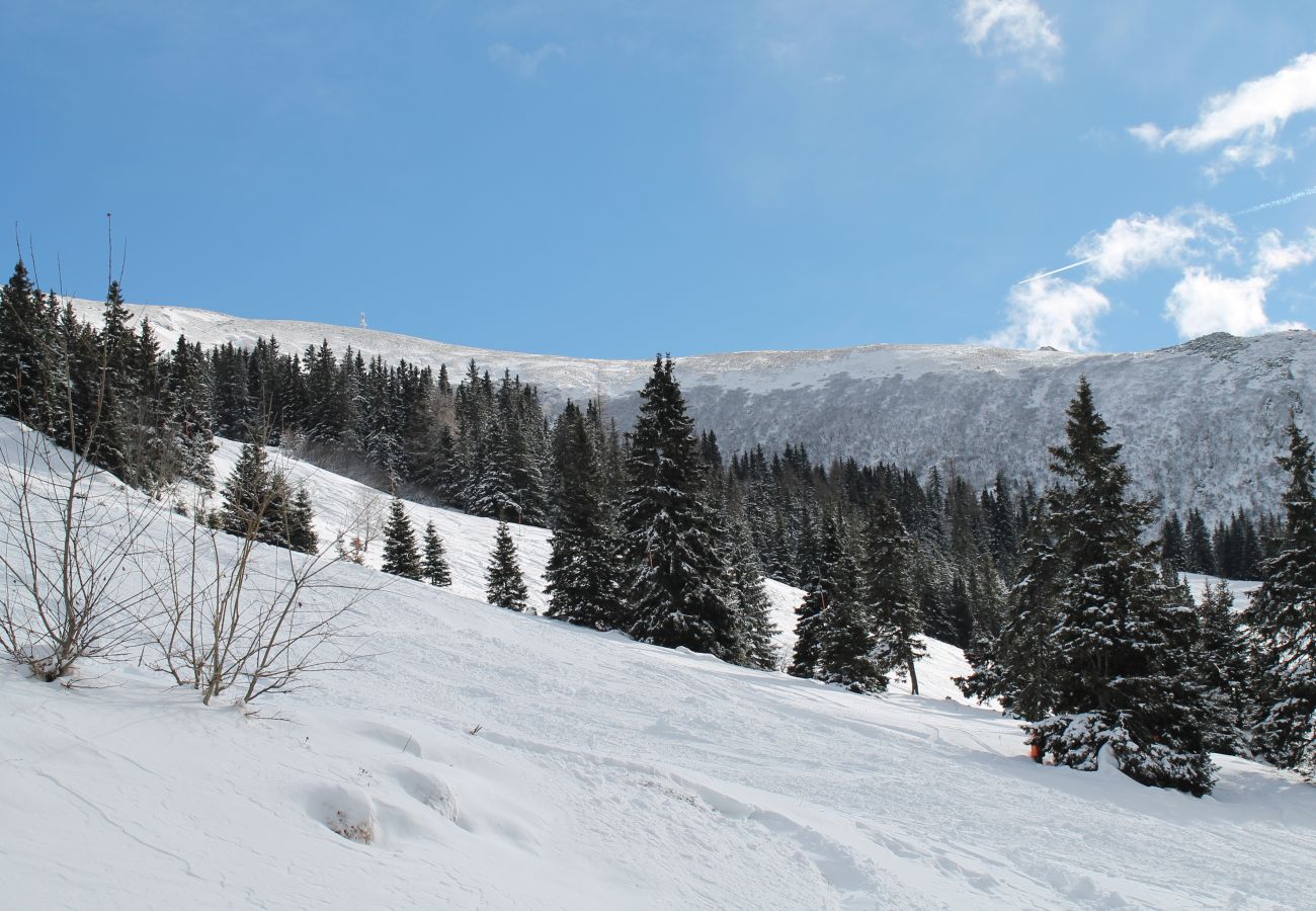 Chalet in St. Gertraud - Chalet Alpenglück 29