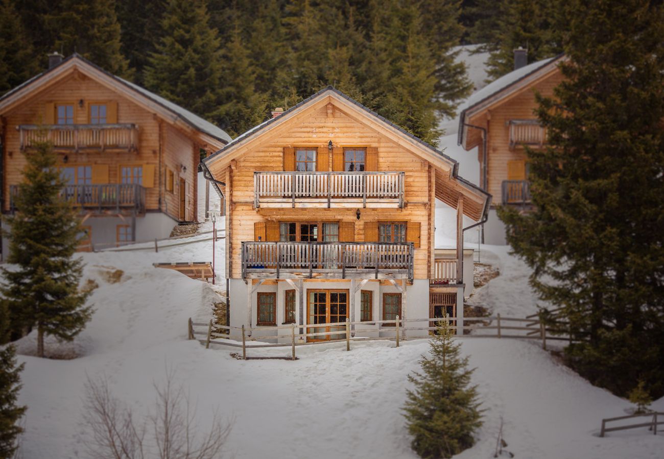 Chalet in St. Stefan - FDK Wellness 011