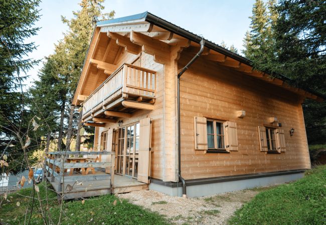 Villetta a St. Stefan - Chalet mit Sauna XL 28