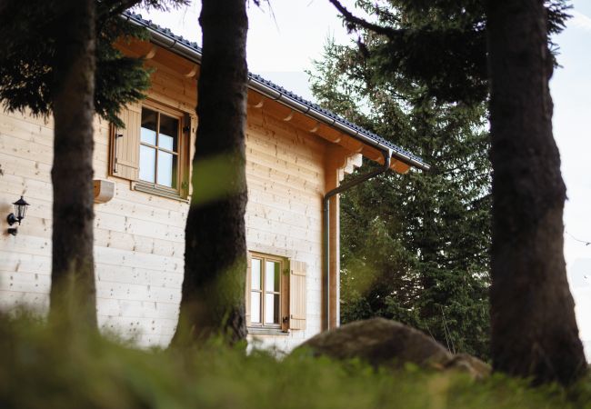 Villetta a St. Stefan - Chalet mit Sauna XL 28