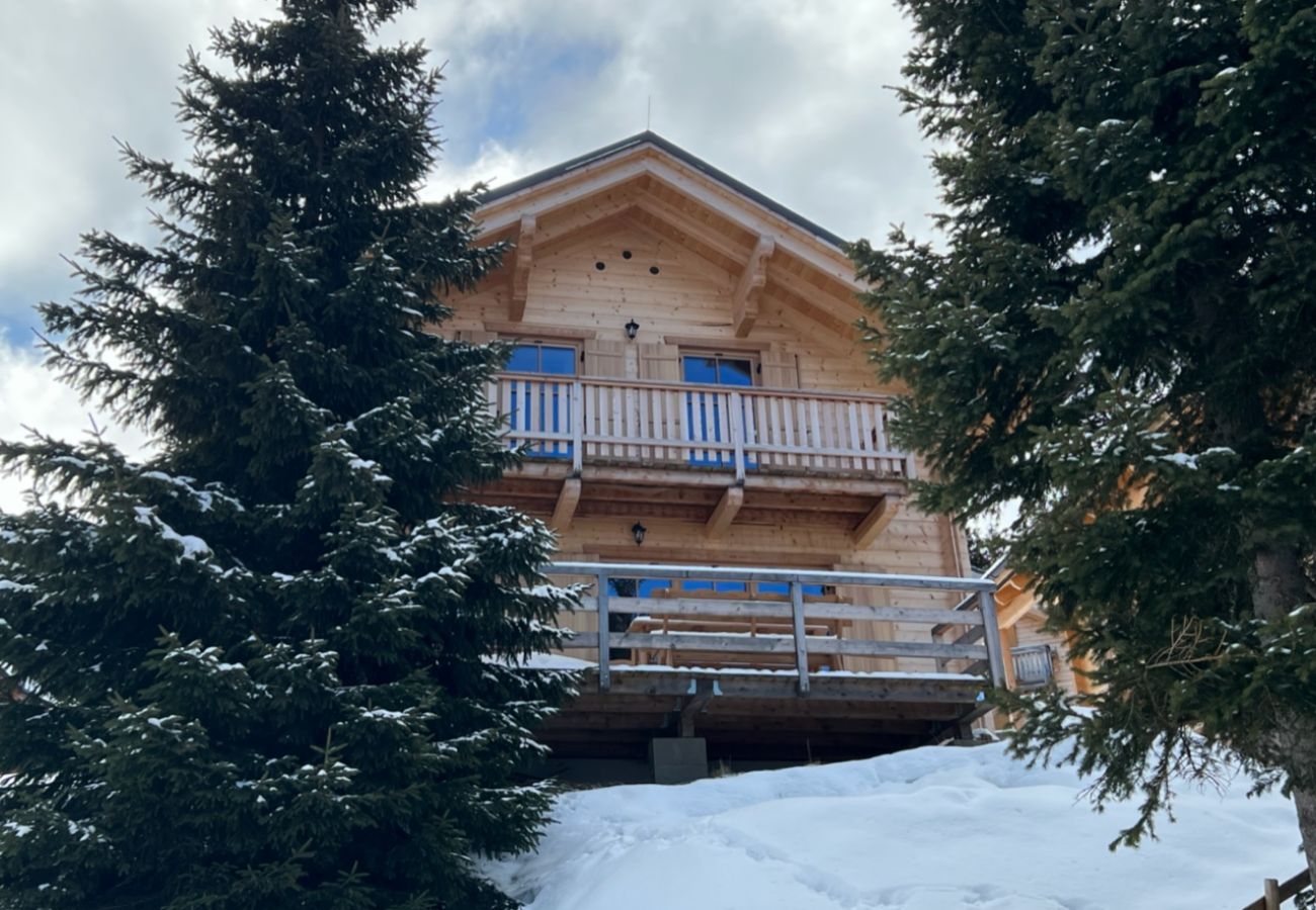 Chalet in St. Stefan - Chalet mit Sauna XL 19