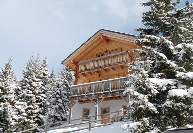 St. Stefan - Chalet