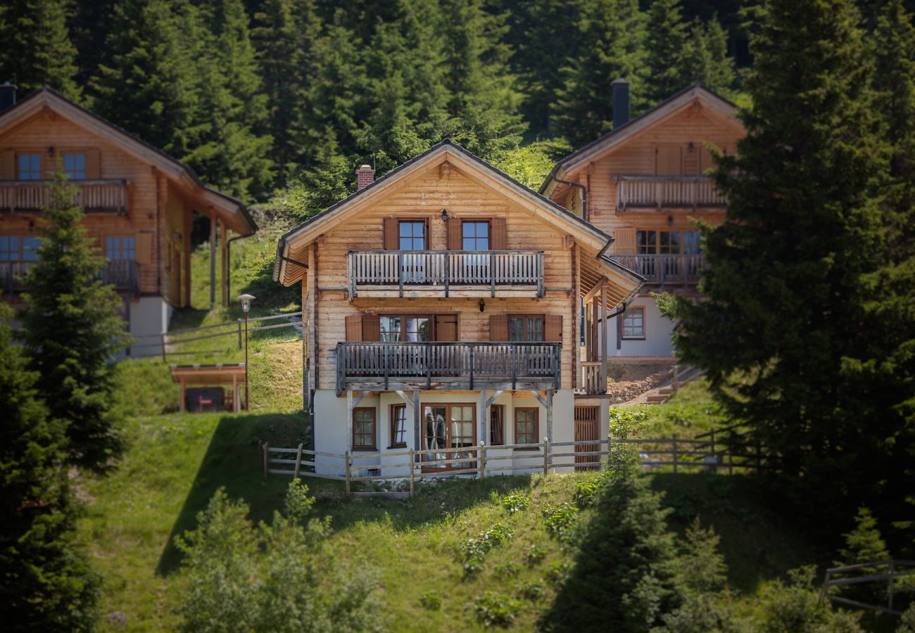 Chalet in St. Stefan - FDK Wellness 011