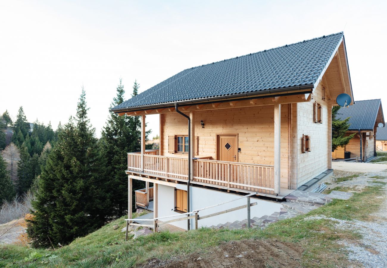 Chalet in St. Stefan - FDK Wellness 012